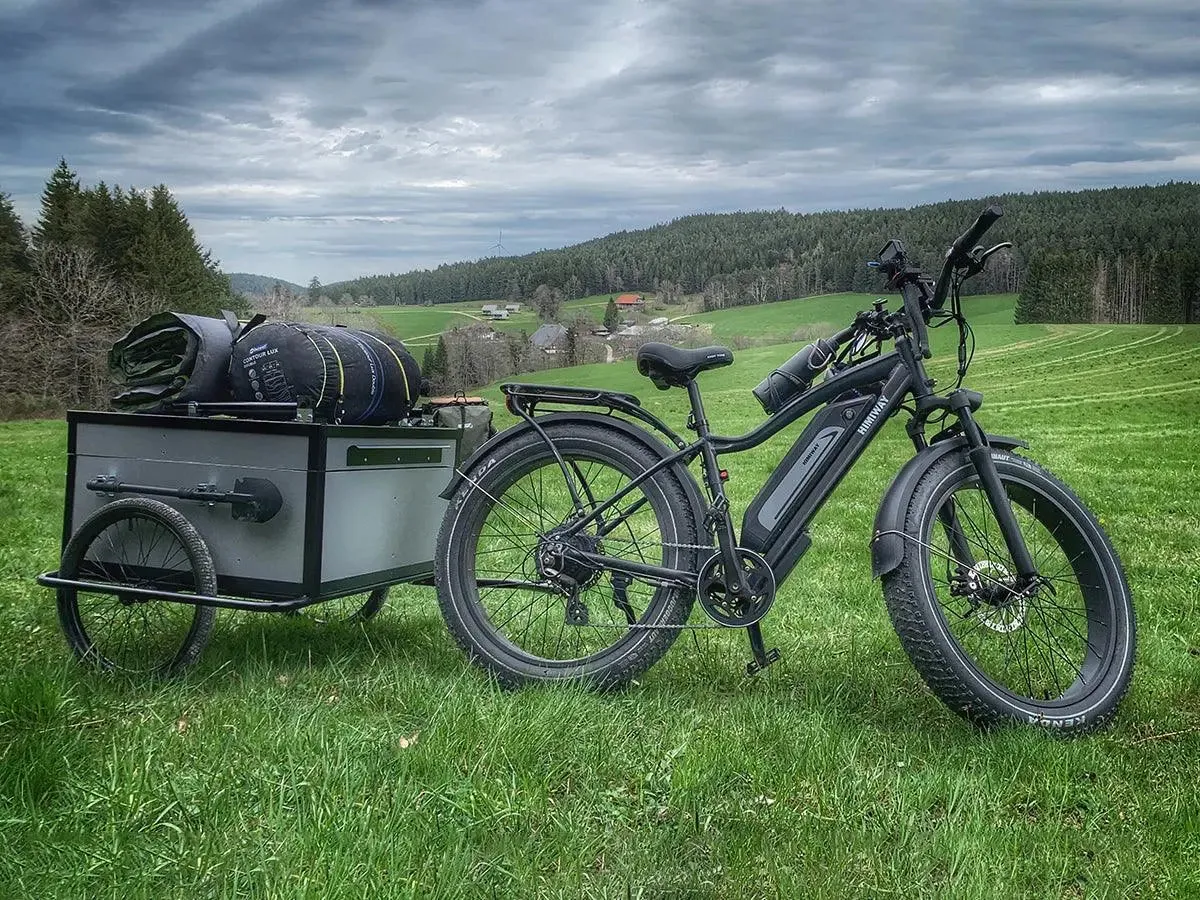 D3(Cruiser) / Long Range Fat Tire Electric Bike - Image 11
