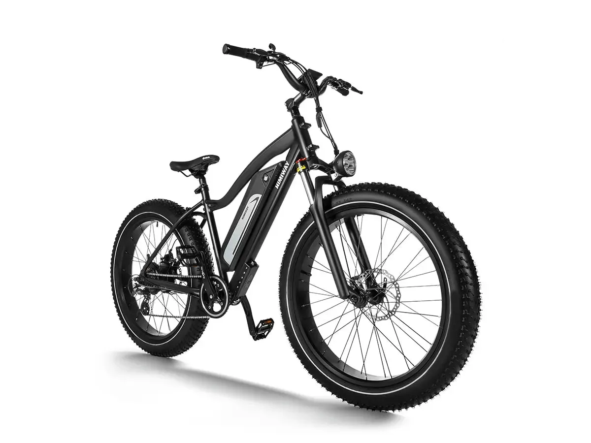 D3(Cruiser) / Long Range Fat Tire Electric Bike - Image 4