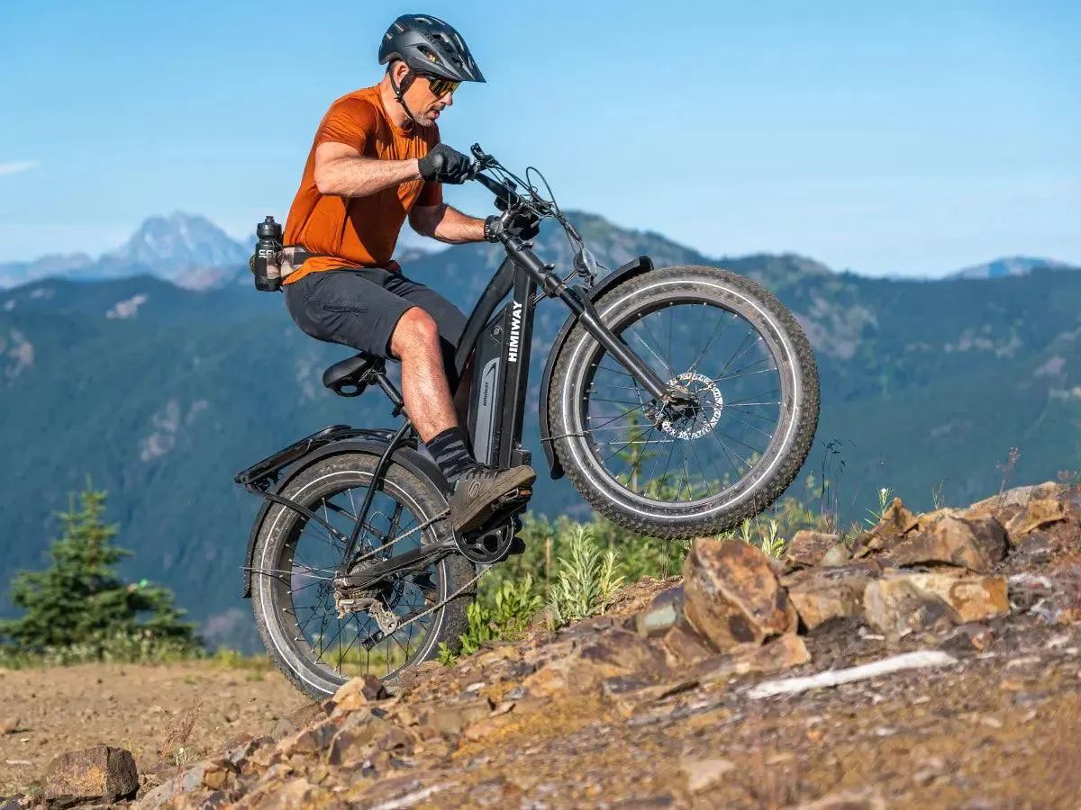 D3(Cruiser) / Long Range Fat Tire Electric Bike - Image 8