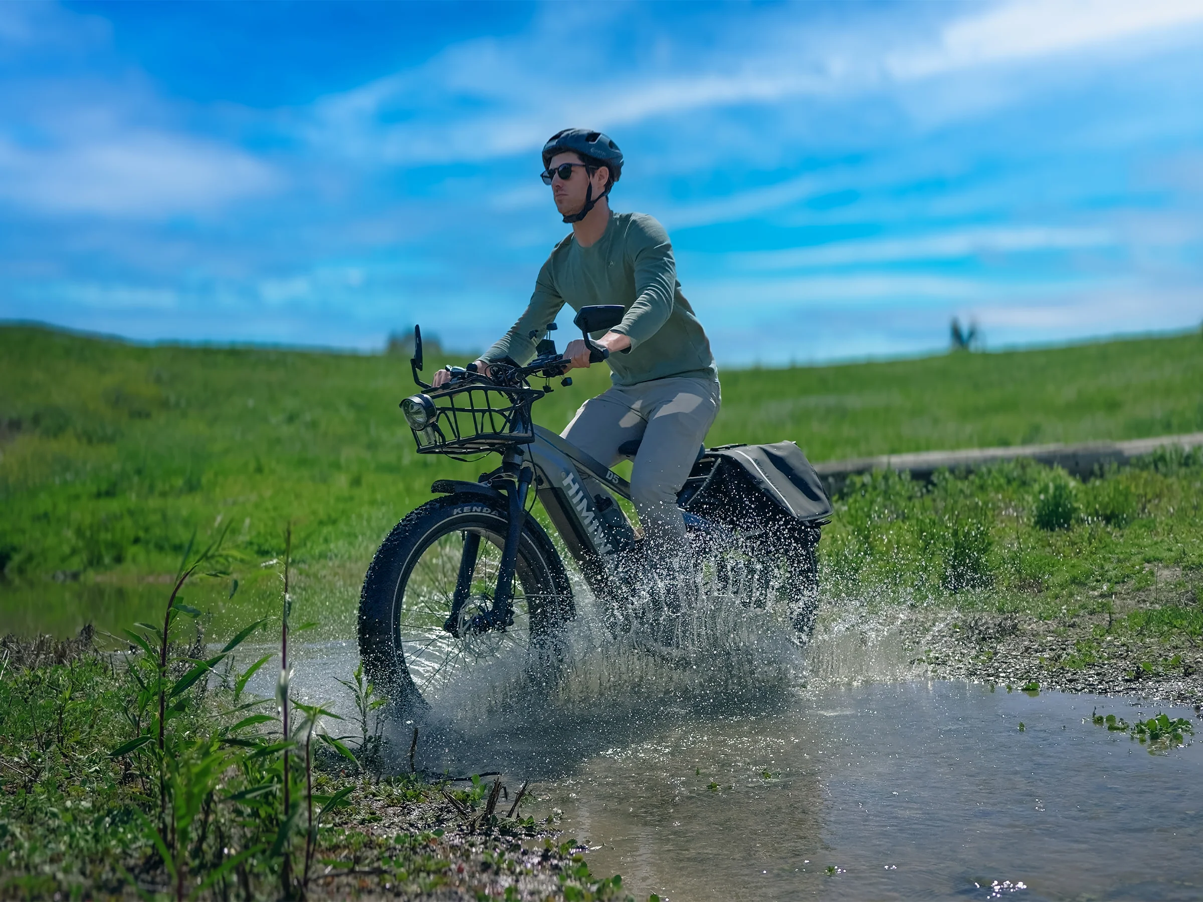 D5(Zebra) / All-terrain Electric Fat Bike - Image 4
