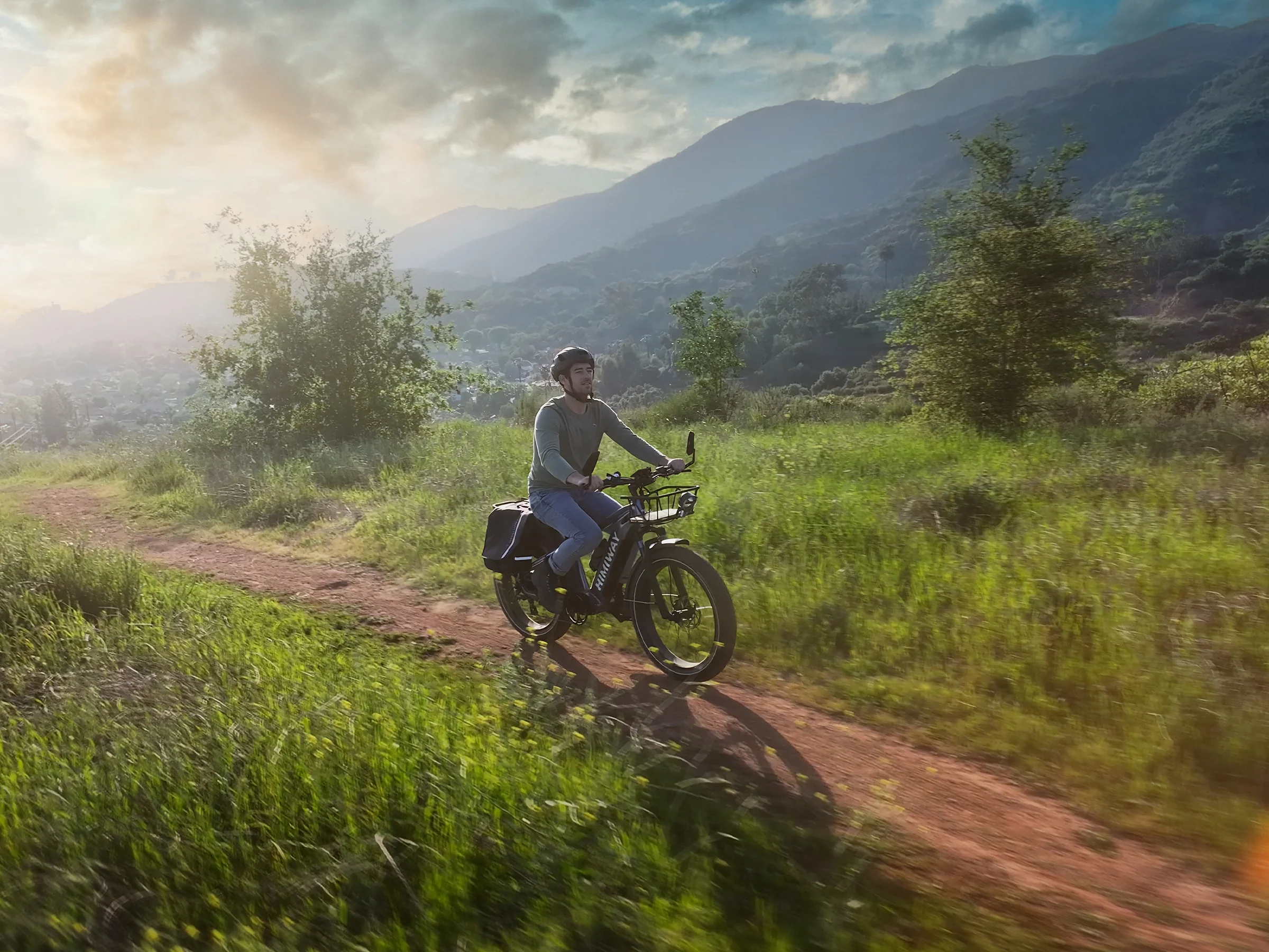 D5(Zebra) / All-terrain Electric Fat Bike - Image 5