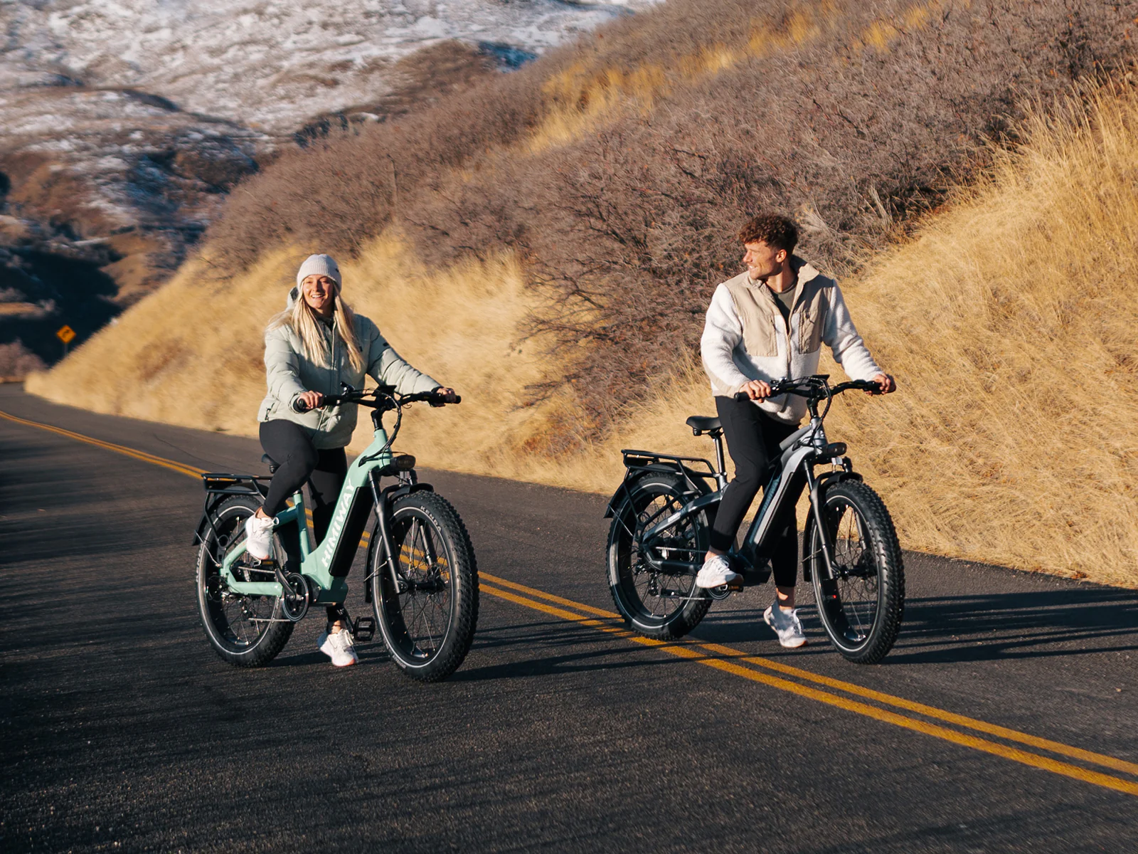 D5 ST(Zebra ST) / All-terrain Electric Fat Bike - Image 6