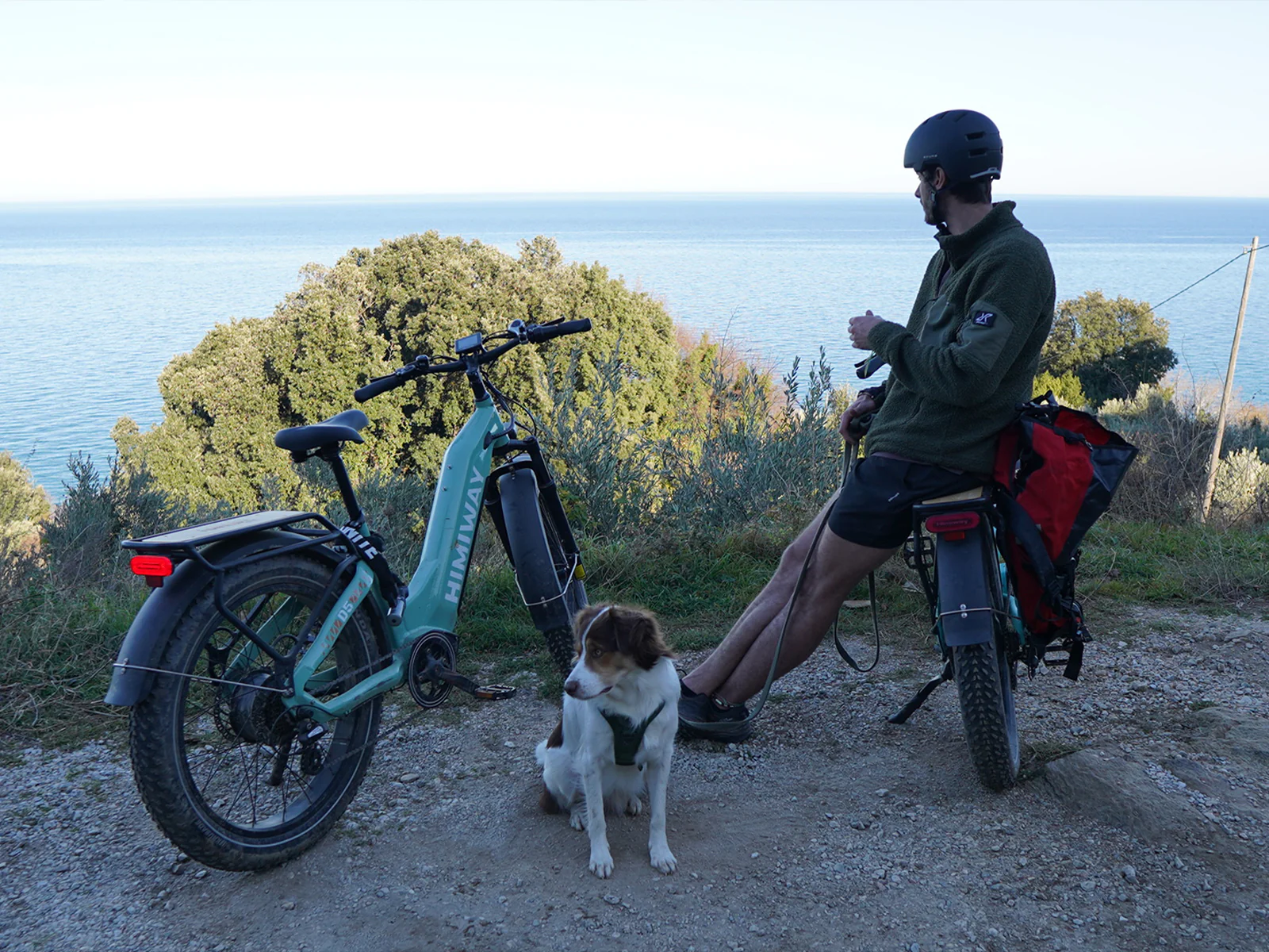 D5 ST(Zebra ST) / All-terrain Electric Fat Bike - Image 5